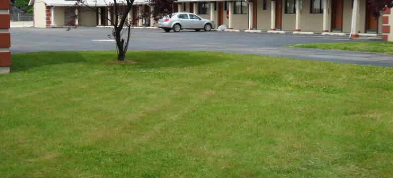 红地毯布鲁克劳恩酒店(Red Carpet Inn Brooklawn)图片