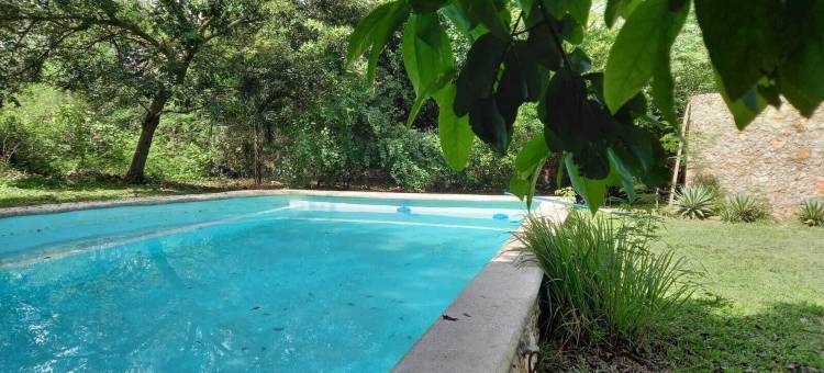 维瓦梅里达民宿(Casa Viva Mérida)图片