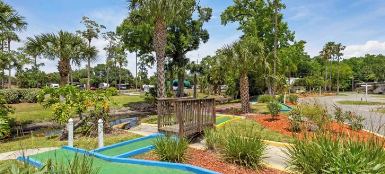 热带棕榈度假村和露营地(Tropical Palms Resort)图片