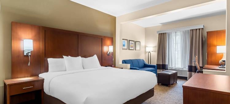 舒适套房-近勒吉恩营(Comfort Suites Near Camp Lejeune)图片