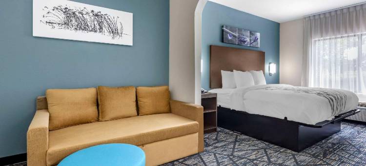 舒眠旅馆及套房格罗夫敦 - 奥古斯塔西(Sleep Inn & Suites Grovetown - Augusta West)图片