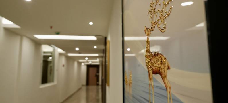 皇家宫殿(LE ROYALE PALACE)图片