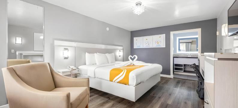 坦帕-布兰登品质酒店及会议中心(Quality Inn and Conference Center Tampa-Brandon)图片