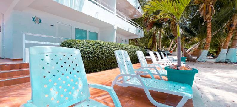 多拉多圣路易斯普雷斯酒店(Hotel San Luis Place by Dorado)图片