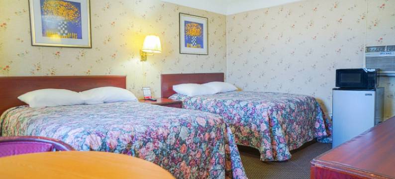 OYO 湾城湾汽车旅馆(Bay Motel by OYO Bay City)图片