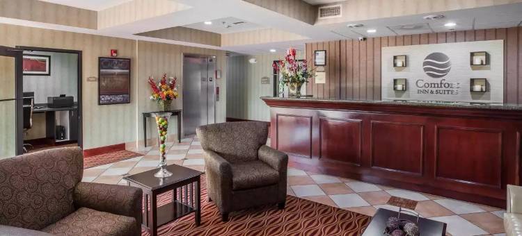 舒适套房酒店(Comfort Inn & Suites)图片