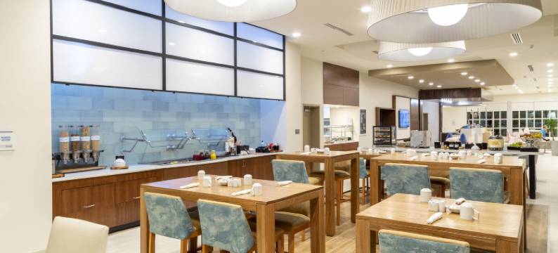 佛罗里达坦帕 - 韦斯利查普尔希尔顿花园酒店(Hilton Garden Inn Tampa - Wesley Chapel)图片