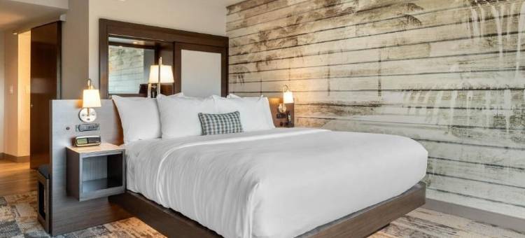 DoubleTree by Hilton Charleston Riverview图片