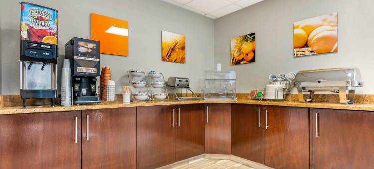 阿维烟酒店(Comfort Inn & Suites)图片