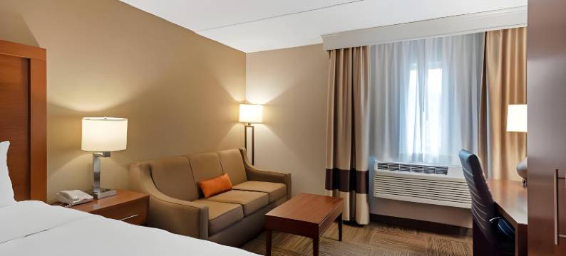 舒适酒店(Comfort Inn)图片