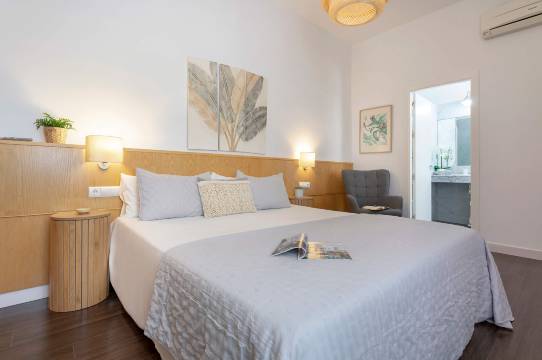 Wonderful duplex located in the center of Malaga. Larios II