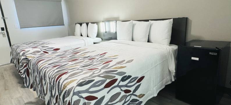 红屋顶酒店迈阿密，AZ(Red Roof Inn Globe - Miami, AZ)图片