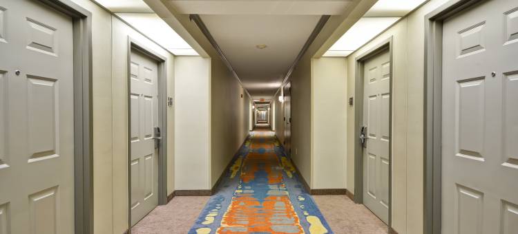 家木酒店达拉姆大学教堂山分校I-40(Homewood Suites by Hilton Durham - Chapel Hill I-40 & Hwy. 15-501)图片