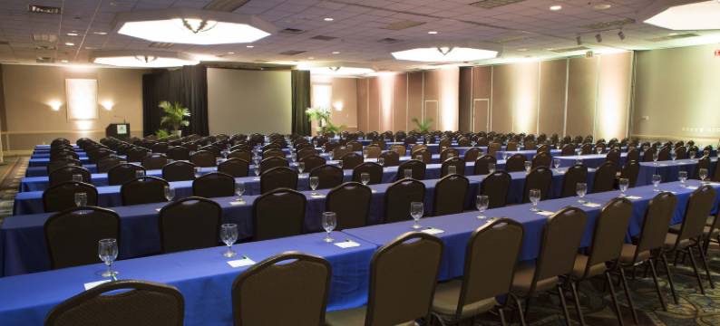 宾汉顿市区霍利街假日酒店(Holiday Inn BINGHAMTON DOWNTOWN by IHG)图片