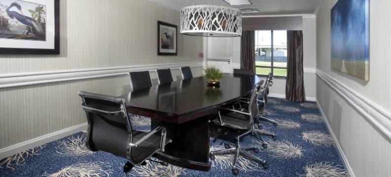 摩根城小虎岛智选假日酒店(Holiday Inn Express & Suites MORGAN CITY - TIGER ISLAND by IHG)图片