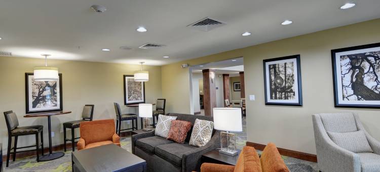 莱克兰德西Staybridge Suites(Staybridge Suites LAKELAND WEST by IHG)图片