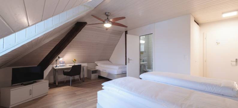 德雷艾德根诺森酒店(Gasthof Drei Eidgenossen)图片