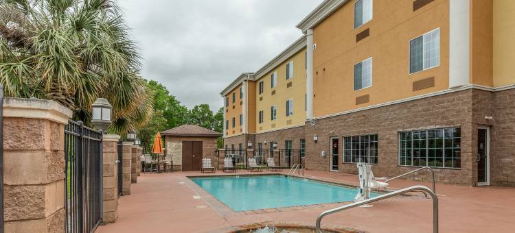 舒适套房酒店(Comfort Suites)图片