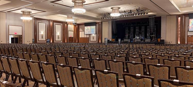 蓝筹娱乐场酒店及水疗中心(Blue Chip Casino Hotel and Spa)图片