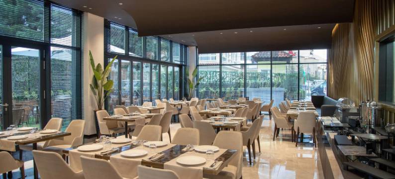 由Meliá附属的廷拉那埃丽莎酒店(Hotel Elisa Tirana, Affiliated by Meliá)图片