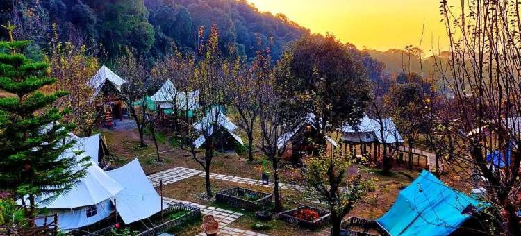 橡树景露营地(Camp Oak View)图片