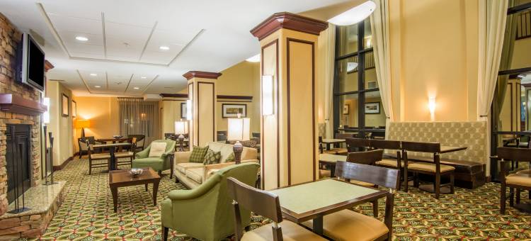 智选假日套房酒店凤凰城的格兰岱尔(Holiday Inn Express & Suites Phoenix - Glendale Sports Dist)图片