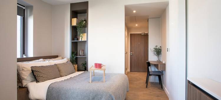 克罗伊登的StayCozy(StayCozy in Croydon)图片