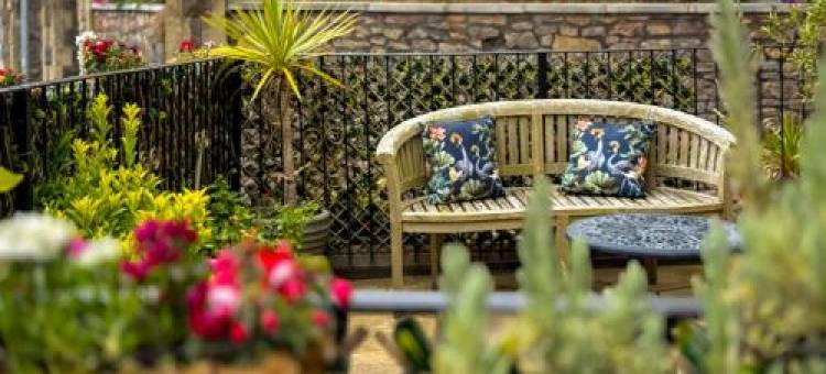 木顶套房(Timbertop Suites - Adults Only)图片