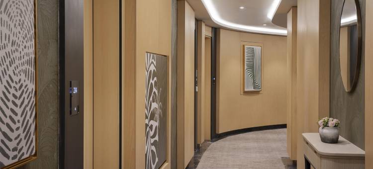 Diyar Ajwa, Tapestry Collection by Hilton图片