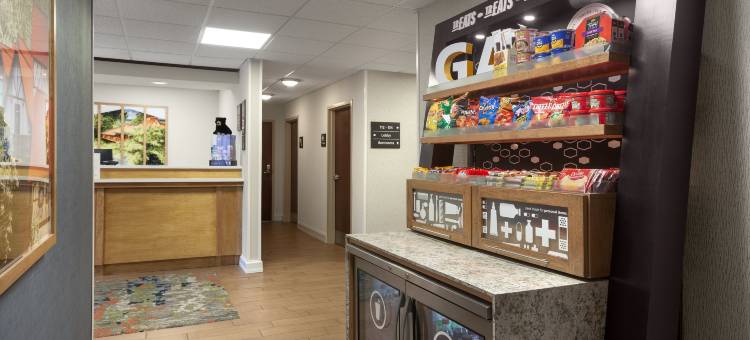 希尔顿欢朋酒店-海伦(Hampton Inn Helen)图片