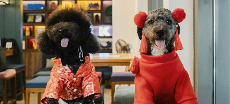 盈客海防市中心·凯悦尚选酒店 — 24小时住宿(Wink Hai Phong Centre, Unscripted by Hyatt - 24 Hours stay)图片