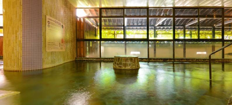 大江户温泉物语新光酒店(Ooedo Onsen Monogatari Hotel Shinko)图片