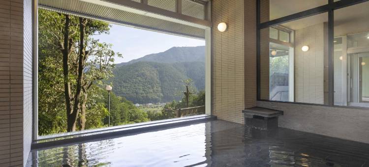 TAOYA　下吕(TAOYA Gero)图片