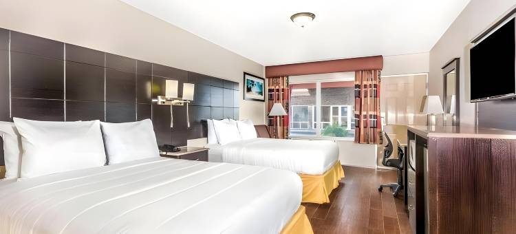 伊克诺旅馆套房酒店(Econo Lodge Inn & Suites)图片