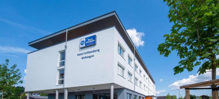 韦欣根城堡酒店(Hotel Schlossberg Wehingen)图片