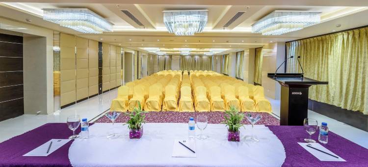 金色郁金香酒店库卡斯齐普尔(Golden Tulip Kukas Jaipur)图片