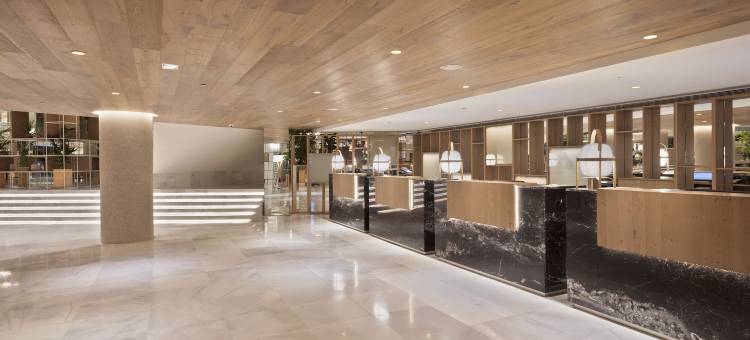 美利亚帕尔马码头酒店(Meliá Palma Marina)图片