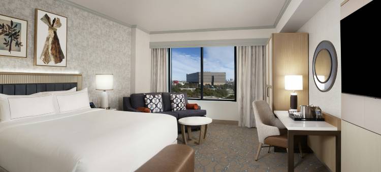 阿纳托利希尔顿酒店(Hilton Anatole, Dallas)图片