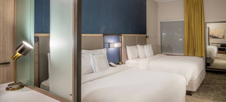 达拉斯麦金尼艾伦SpringHill Suites酒店(SpringHill Suites Dallas McKinney/Allen)图片