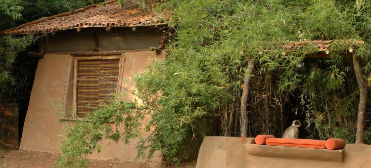 马华柯提班哈加尔国家公园酒店(Mahua Kothi Bandhavgarh - A Taj Safari Lodge)图片