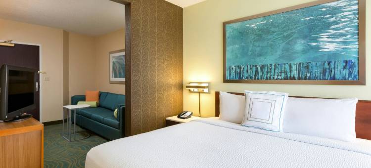 南奥斯汀万豪SpringHill酒店(SpringHill Suites Austin South)图片