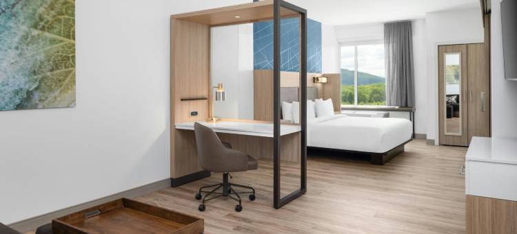 北罗阿诺万豪春丘酒店(SpringHill Suites Roanoke North)图片