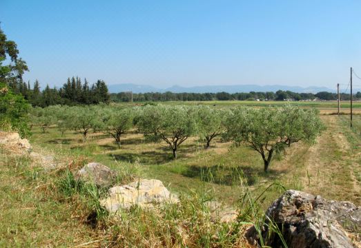 Mas du Combaud Hotel Overview