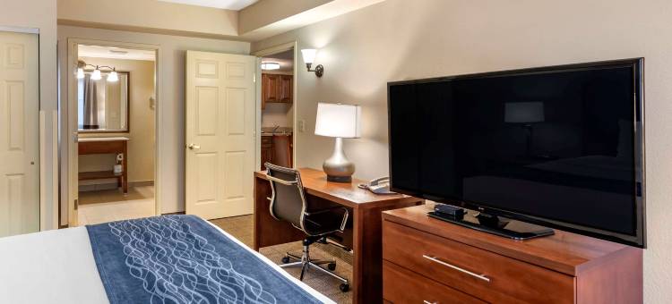 舒适套房酒店维吉尼亚海滩- 诺福克机场(Comfort Inn & Suites Virginia Beach - Norfolk Airport)图片