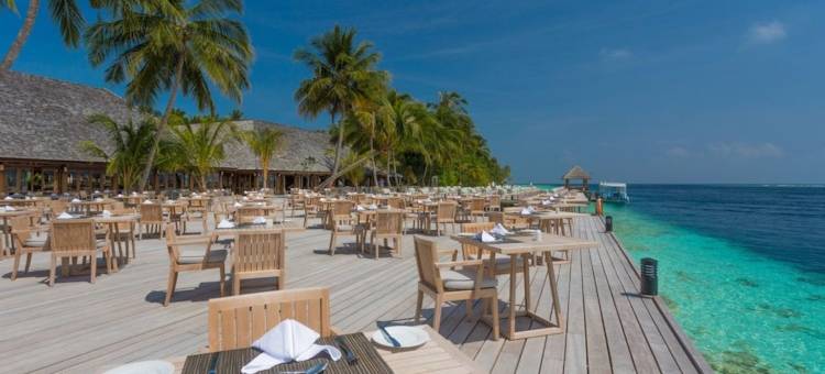 米拉门胡岛水疗度假村(Vilamendhoo Island Resort & Spa)图片