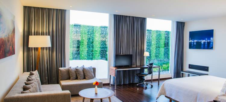 中央机场广场嘉年华酒店(Fiesta Inn Plaza Central Aeropuerto)图片