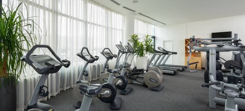 圣彼得堡机场城广场酒店(Airportcity Plaza St.Petersburg)图片