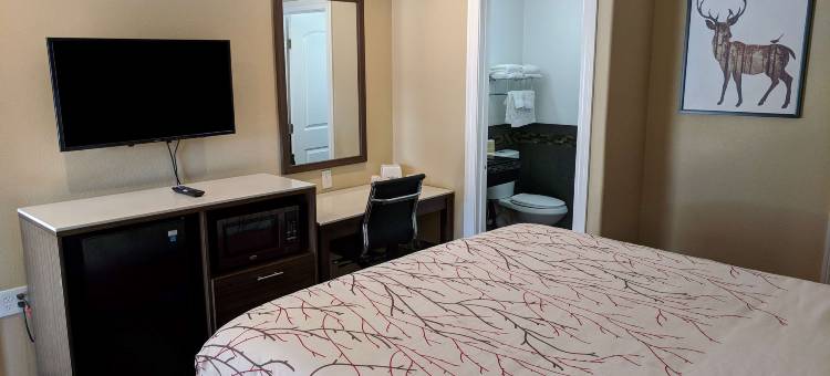 安提阿克美洲最佳价值酒店(Americas Best Value Inn, Antioch)图片