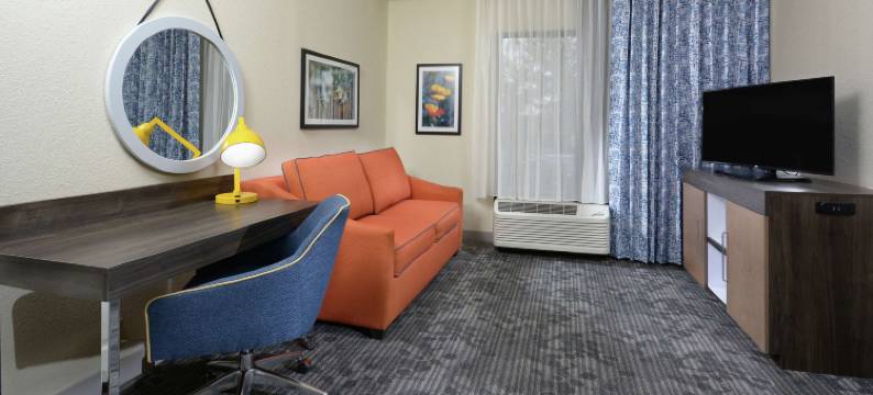 格林维尔/斯巴坦堡I-85希尔顿欢朋旅馆&套房酒店(Hampton Inn & Suites Greenville/Spartanburg I-85)图片