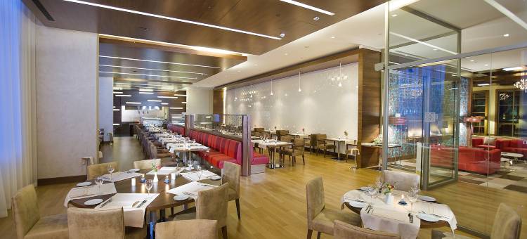 屈塔希亚希尔顿花园酒店(Hilton Garden Inn Kutahya)图片